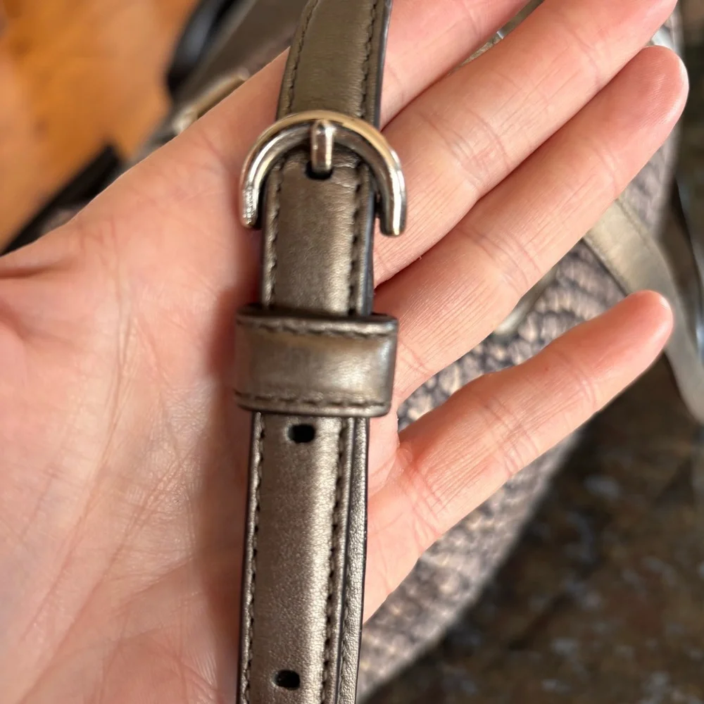 COACH Taylor Snake Print Bag F26037
Gunmetal Python Embossed Luxe
Structured - Picture 10 of 16